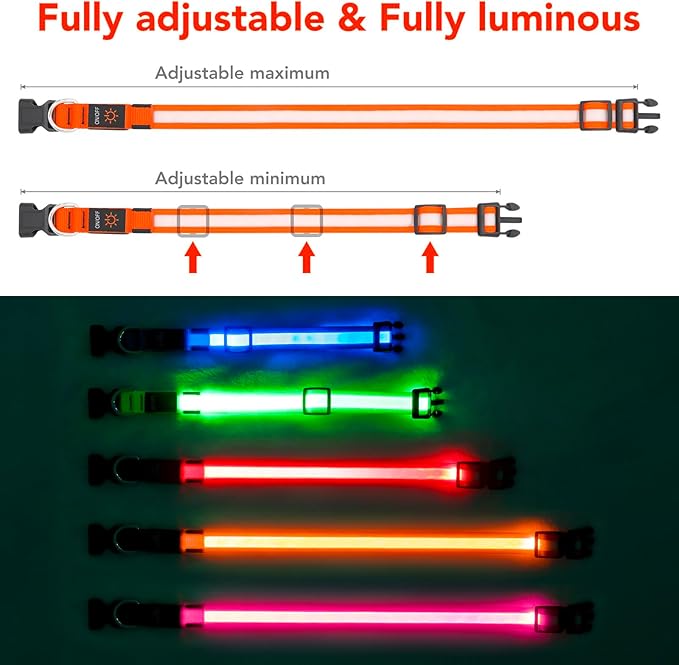 Vizpet LED Dog Collar, Light Up Dog Collar Adjustable USB Rechargeable Super Bright Safety Light Glowing Collars for Dogs(Medium,Orange)