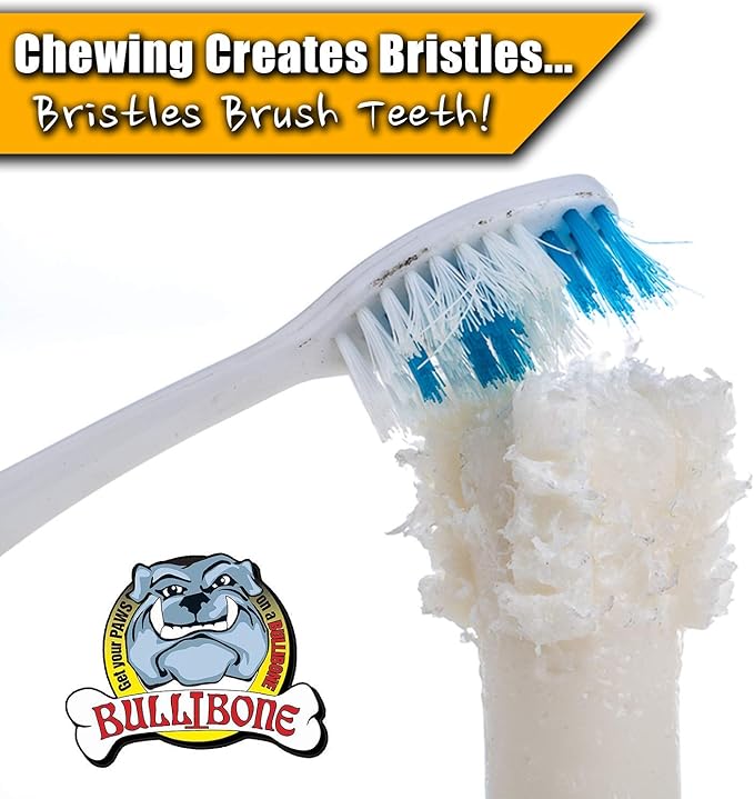 Bullibone Brusher: Dog Teeth Cleaning Brushing Toothbrush Stick - Long Lasting Nylon Peppermint Chew Toy for Dog Oral Care and Dental Health for Small Dogs and Puppies