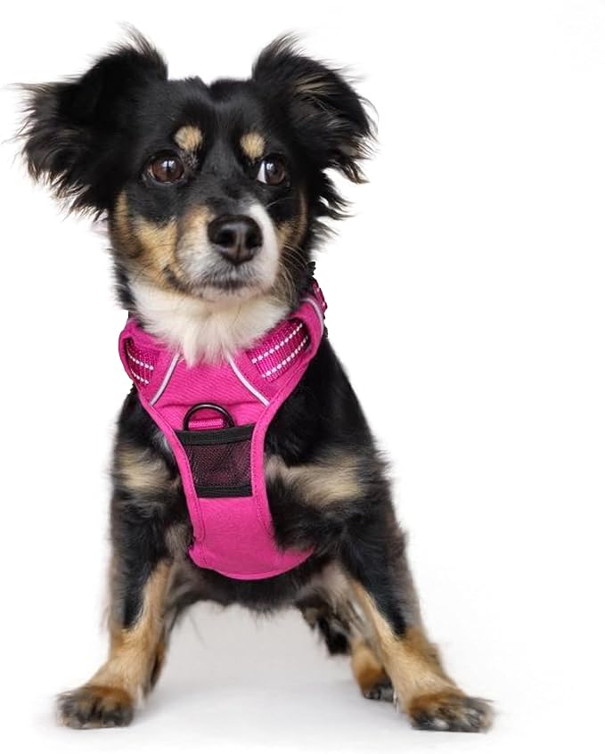 Doggie Design Venture Paw No Pull Dog Harness - Simple Adjustable Puppy Harness - Anti Pull Dog Collar for Walks and Outdoor Adventures - Wild Raspberry, S