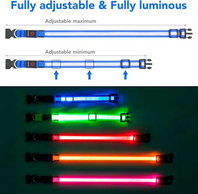 Vizpet LED Dog Collar, Light Up Dog Collar Adjustable USB Rechargeable Super Bright Safety Light Glowing Collars for Dogs(Medium,Blue)