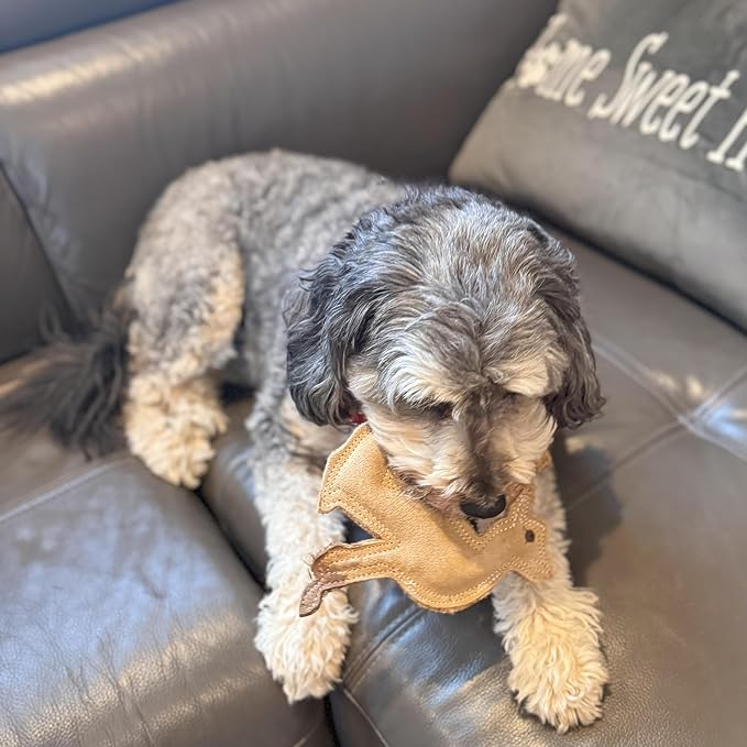 SPOT Dura-Fused Leather Fox Dog Toy – Real Leather & Jute Fabric, Double-Stitched & Durable, Squeaky Interactive Chew Toy for Moderate Chewers, Small & Medium Dogs, Soft Stuffed Fetch Toy, 7.5in