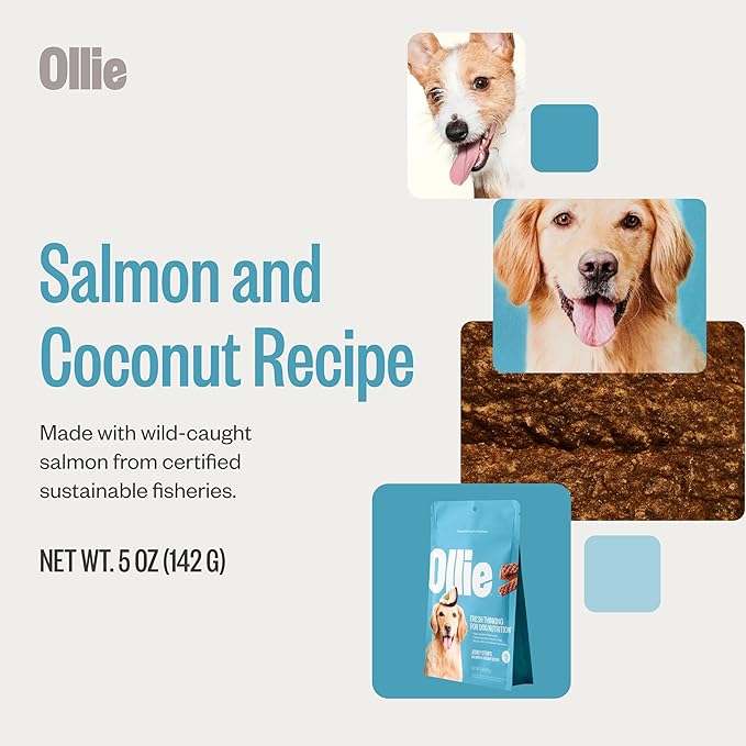 Ollie Salmon and Coconut Jerky Dog Treats, All Natural, Healthy Snacks, Made with Real Meat 5 Oz. Human Grade, Pack of 1, for Dogs