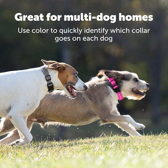 PetSafe Replacement Strap for Guardian GPS + Tracking 1.0 and Guardian GPS Dog Fence Collar, Made with Soft Touch Nylon for Enhanced Comfort,Long Lasting Wear Water Wicking, Waterproof Material, Gray