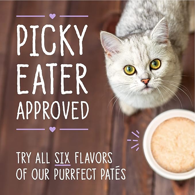 Stella & Chewy's Carnivore Cravings Purrfect Paté - Premium Grain-Free Wet Cat Food - Chicken & Tuna Recipe - High Protein with Bone Broth - Perfect for Picky Eaters - 2.8oz Cans (24 Pack)