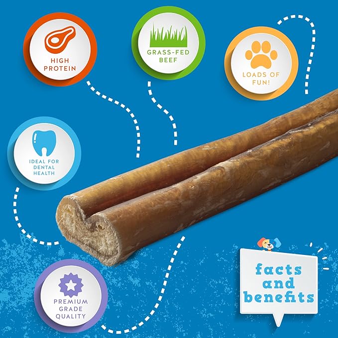 Jack&Pup 6-inch Thick Bully Sticks for Dogs (24 Pack) Single Ingredient, Thick Bully Sticks | Long Lasting Pizzle Sticks for Medium and Small Dogs