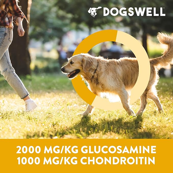 DOGSWELL Jerky Hip and Joint Dog Treats Grain Free Made in USA Only, Glucosamine and Chondroitin, 10 oz Duck (842194)