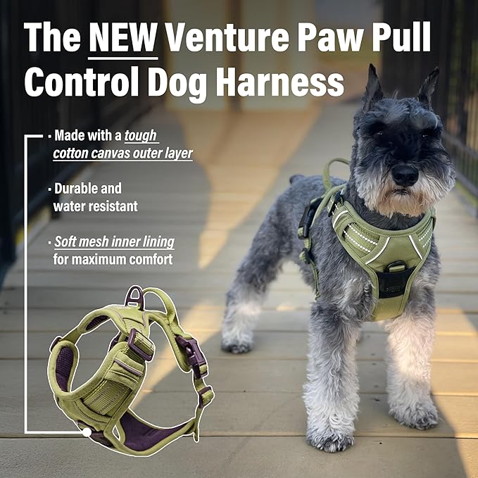 Doggie Design Venture Paw No Pull Dog Harness - Simple Adjustable Puppy Harness - Anti Pull Dog Collar for Walks and Outdoor Adventures - Aspen, L