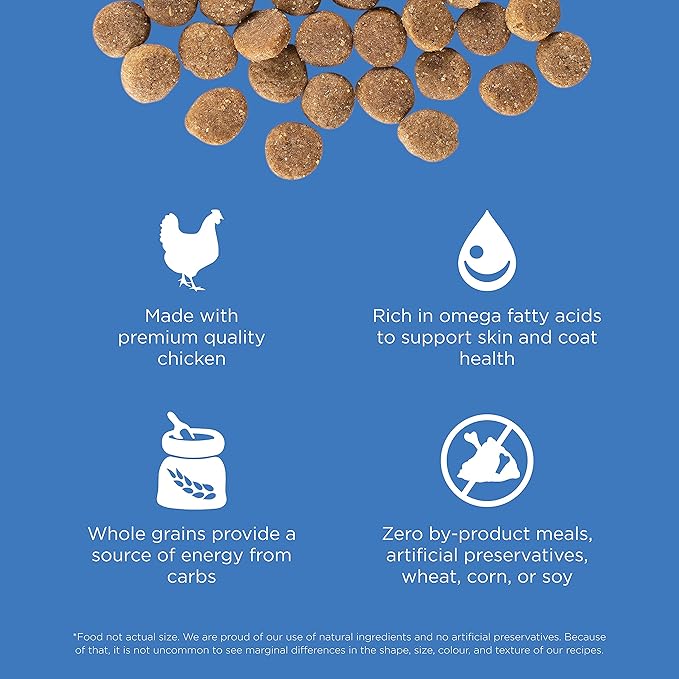 Go! Solutions Skin + Coat Care, Dry Dog Food, Chicken Recipe with Grains, 22 lb Bag