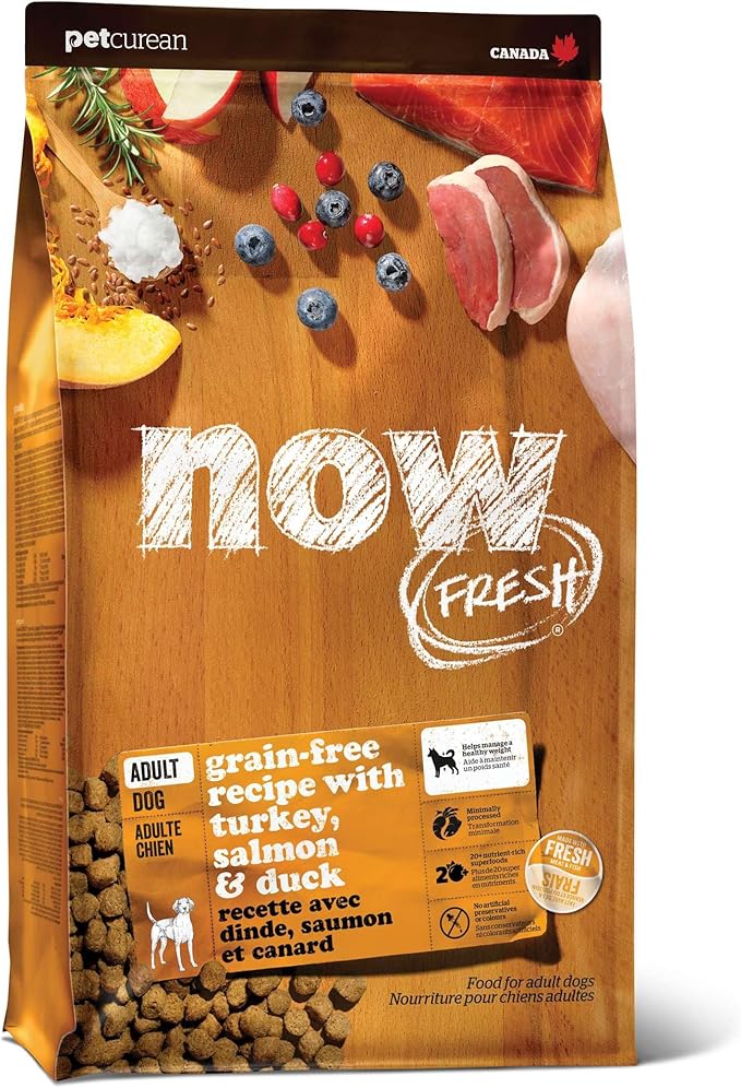 Now Fresh Grain-Free Dry Dog Food with Turkey, Salmon & Duck, Healthy Kibble for Adults Made with Real Meat & Fish, Chicken-Free, Enhanced with Pumpkin & Probiotics for Good Digestion, 12 lb Bag