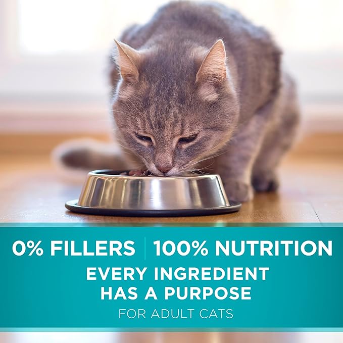 Purina ONE Natural Dry Cat Food, Tender Selects Blend With Real Chicken - 22 lb. Bag