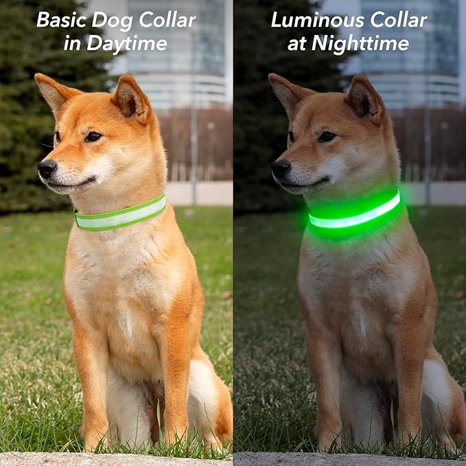 Visinite Light Up Dog Collar, Reflective LED Dog Collar, Adjustable Lighted Dog Collars Rechargeable Waterproof, Bright Dog Glow Collar for Pet Safety at Night Walking, Fit Large Medium Dogs