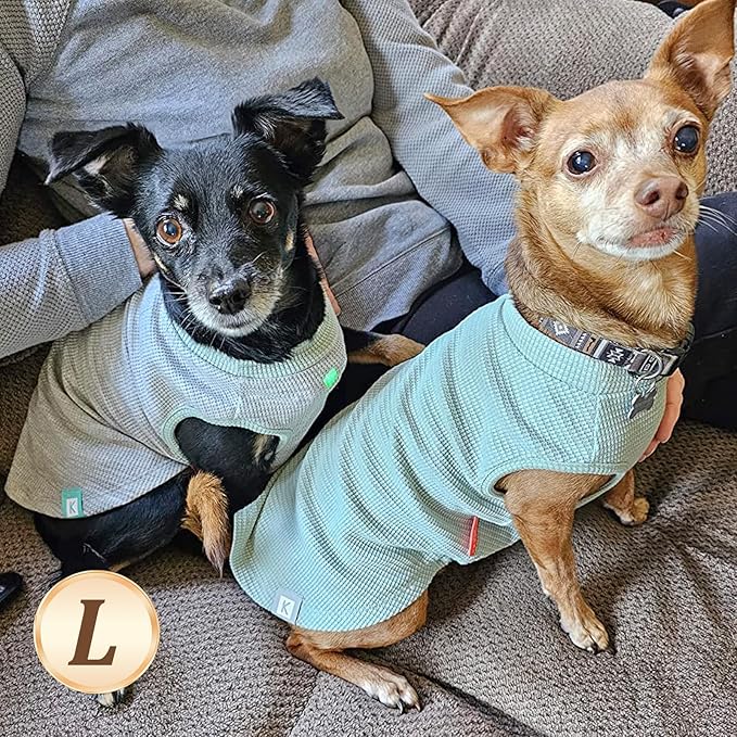 KYEESE 2Pack Dog Shirts Waffle for Small Dogs Stretchy Pet T-Shirts Lightweight Dog Tank Top Sleeveless Dogs Vest Breathable, Large, Green+Grey