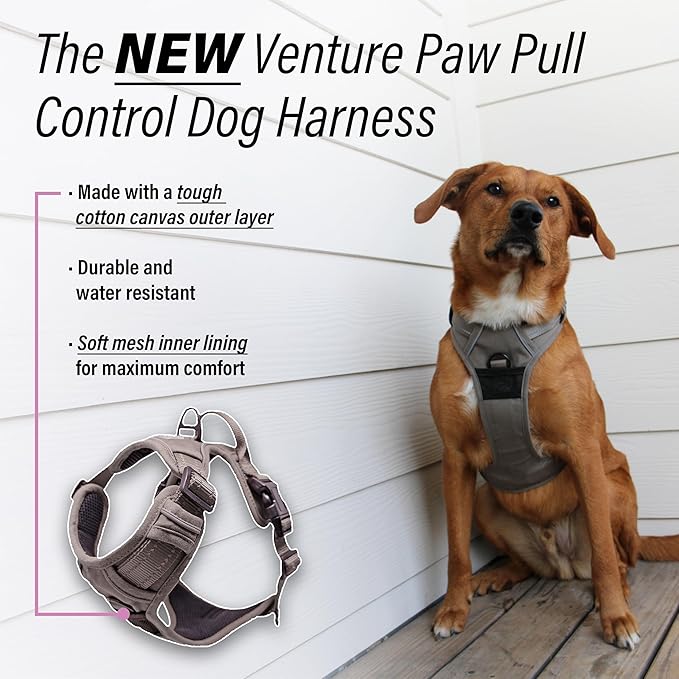Doggie Design Venture Paw No Pull Dog Harness - Simple Adjustable Puppy Harness - Anti Pull Dog Collar for Walks and Outdoor Adventures - Dried Sage, L