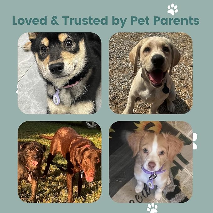 Dog ID Tag with QR Code & NFC, Silent Silicone Dog Name Tags Personalized for Pets- Scan QR for Instant Location Alert, Emergency Contact and Modifiable Pet Profile (Green)