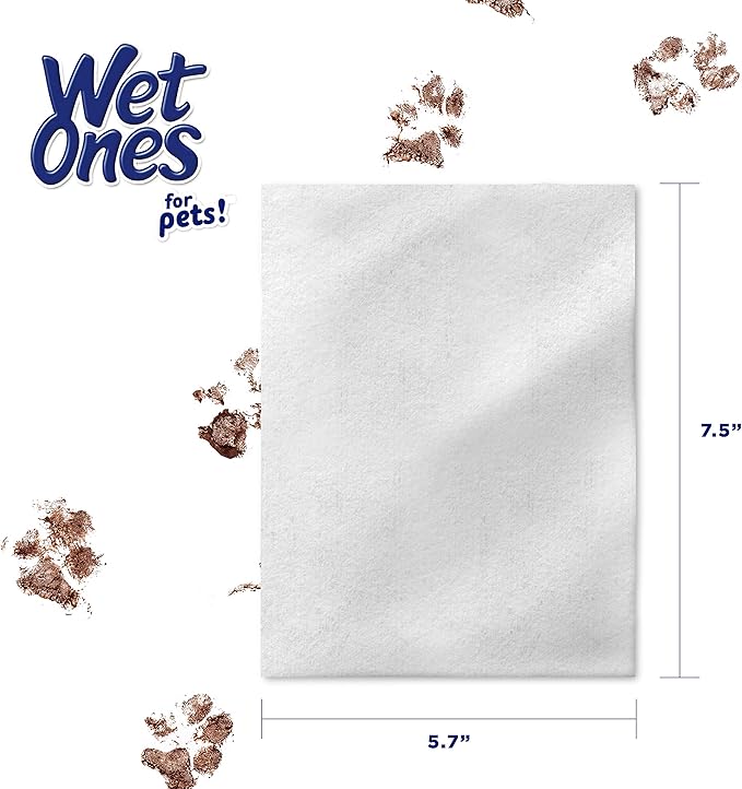 Wet Ones for Pets Multipurpose Dog Wipes with Aloe Vera, Tropical Splash Scent - Pet Bathing Wipes in Canister for Dog Paws & All Over Use, 50 Count - 12 Pack