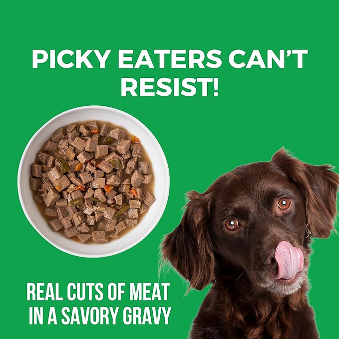 KOHA Pike Place Platter Stew for Dogs with Beef and Salmon, High Protein Wet Dog Food, 12.7oz Cans (Case of 12)