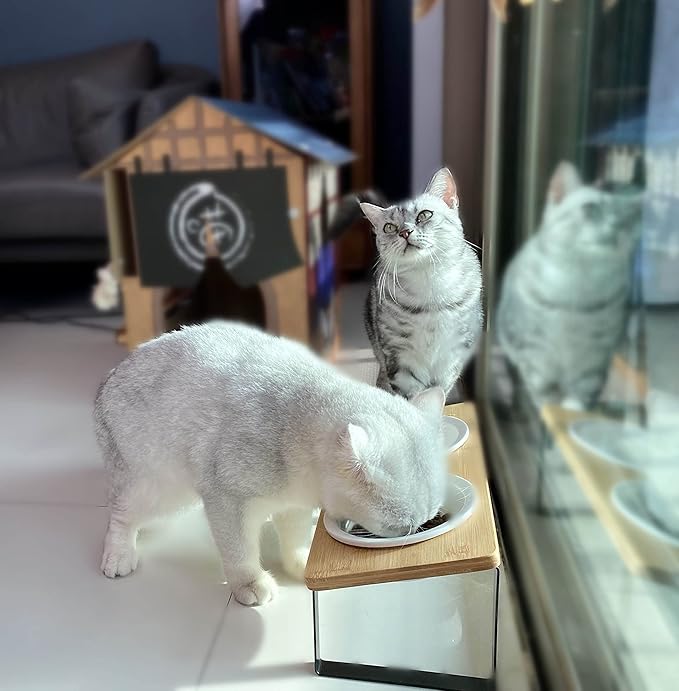 Sunhoo Ceramic Elevated Cat Bowls Raised Puppy Dishes for Food and Water Tilted Wooden Stand for Indoor Cats 5.5 inch Wide Double Dish Orthopedic Reduces Vomiting (Wood Color)