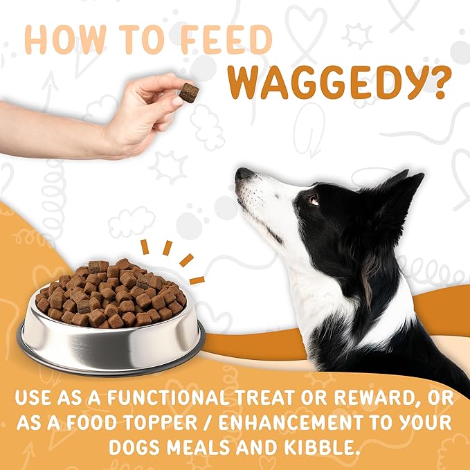 waggedy Omega Max Chews for Dogs with Salmon Oil & Flaxseed — Dog Essentials for Shiny Coats & Healthy Skin — Dog Supplements & Vitamins (60 Chews)