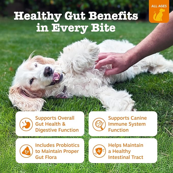 Zesty Paws Probiotics for Dogs, Digestive Enzymes Gut Flora, Digestive Health, Diarrhea & Bowel Support, DE111, Dog Probiotics Soft Chew for Pet Immune System, Chicken, 90 Ct