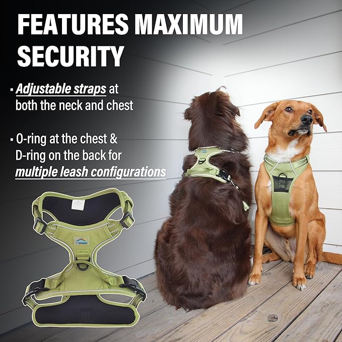 Doggie Design Venture Paw No Pull Dog Harness - Simple Adjustable Puppy Harness - Anti Pull Dog Collar for Walks and Outdoor Adventures - Aspen, XL