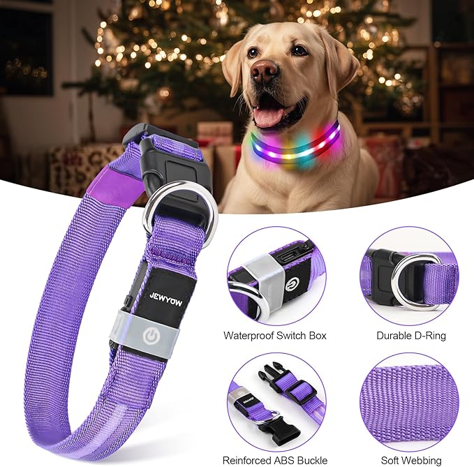 LED Dog Collar, Light Up Dog Collar, USB Rechargeable - Brightest Dog Lights for Night Walking, 6 Light Modes, Adjustable for Dog Safety(Medium, Purple)