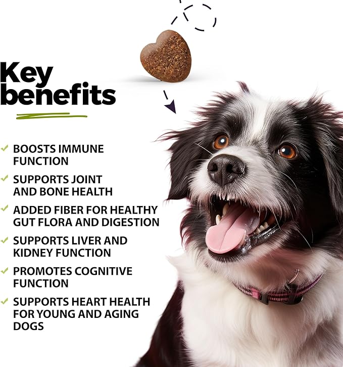 ANP Super Multi-Vitamin, Natural No Animal Proteins, 60 Soft Chews for Dog Gut Health and Immune System, CoQ10, Probiotics 5M CFUs and Glucosamine