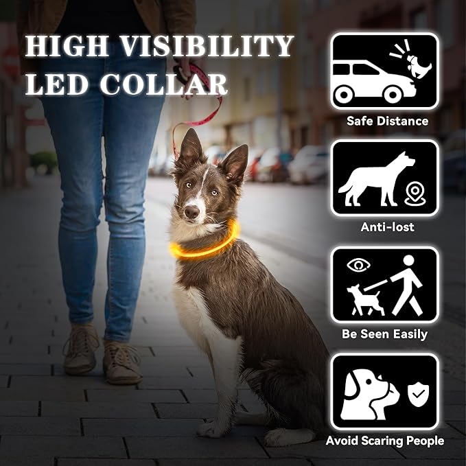 Light Up Led Dog Collar Rechargeable Waterproof, Glow in Dark Dog Collar, TPU Cuttable Lighted Dog Collars for Night Walking Charging USB, Safety for Small Medium Large Dogs Orange