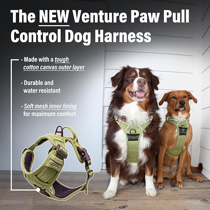 Doggie Design Venture Paw No Pull Dog Harness - Simple Adjustable Puppy Harness - Anti Pull Dog Collar for Walks and Outdoor Adventures - Aspen, XL
