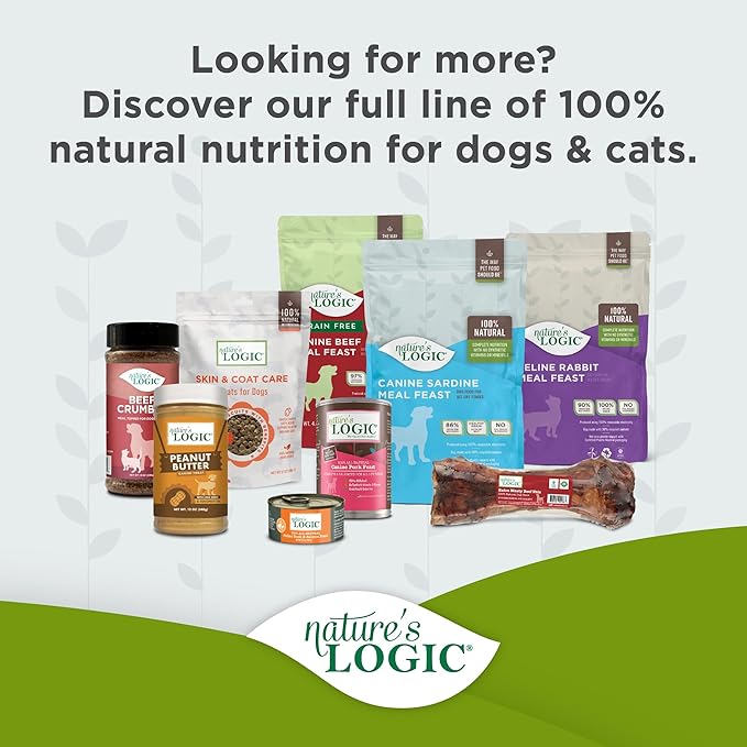 Nature's Logic Grain-Free Canned Dog Food - 95% Animal Proteins - 100% Natural Wet Dog Food Cans - No Common Allergens - All Life Stages - Ideal for Sensitive Dogs - Duck & Salmon (13.2 oz, 12 pack)
