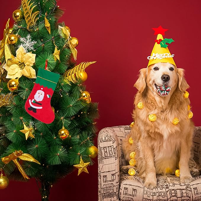 SCENEREAL Christmas Dog Rope Toys, 4pcs Doggy Chew Toys with Stocking for Teething Cleaning, Squeaky Plush Puppy Toy, Interactive Dog Stocking Stuffers, Xmas Gifts for Small Medium Large Dogs