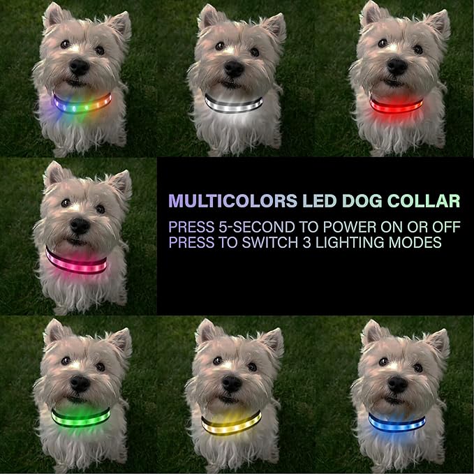 LED Dog Collar, Multicolor Light Up Dog Collar, USB Rechargeable & High-Visibility Glow in The Dark Dog Collars for Night Walks, IPX7 Waterproof, Large