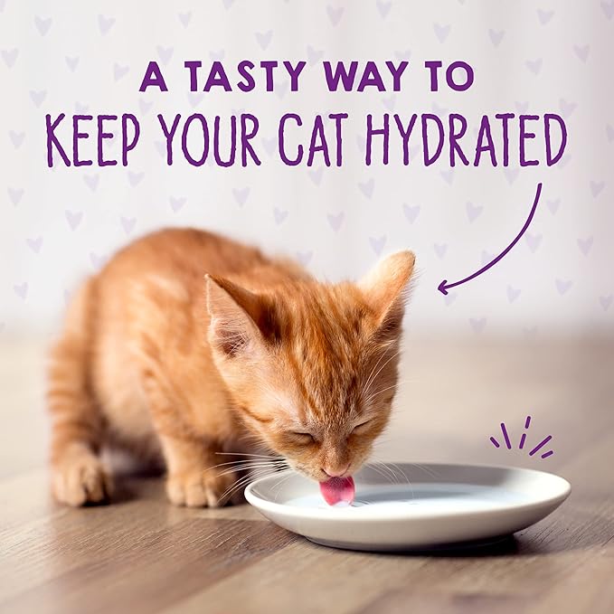 Stella & Chewy's Carnivore Cravings Purrfect Pate Cans – Grain Free, Protein Rich Wet Cat Food – Cage-Free Chicken & Salmon Kitten Recipe – (2.8 Ounce Cans, Case of 24)