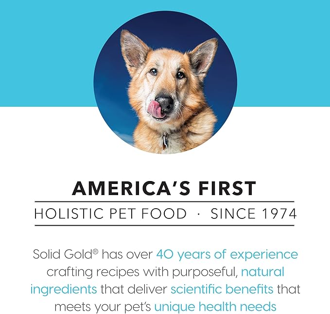 Solid Gold Wet Dog Food for Adult & Senior Dogs - Made with Real Chicken & Salmon - Leaping Waters Grain Free Canned Dog Food for Healthy Digestion & Sensitive Stomach