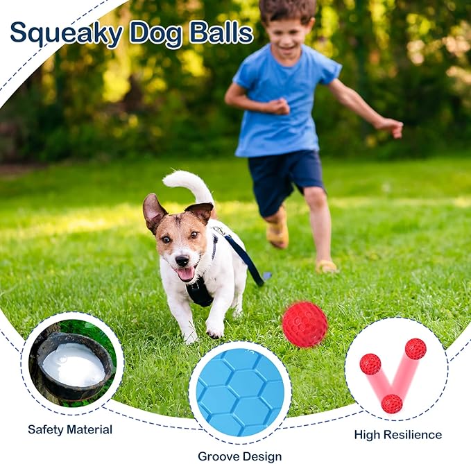 2 Pack Indestructible Squeaky Dog Balls for Aggressive Chewers, Durable Rubber Chew Toys for Teething, Anxiety Relief Perfect for Large, Medium Breeds, Indoor Outdoor Use