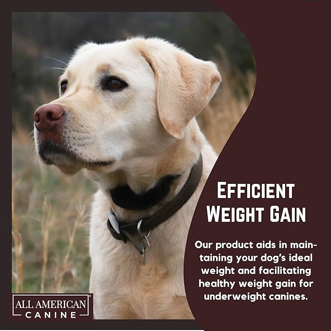 Dog Weight Gainer – High Calorie Dog Food Supplement & Protein Powder for Rapid Weight Gain, Mass, and Recovery – Appetite Stimulant – 60 Servings