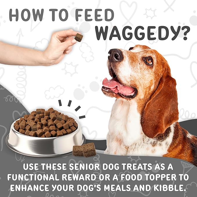 waggedy Daily Essentials Senior Soft Chews with Glucosamine — Pet Supplies for Digestion and Joint Health — Dog Multivitamin Treats for Overall Defense — Dog Vitamins and Supplements (60 Chews)