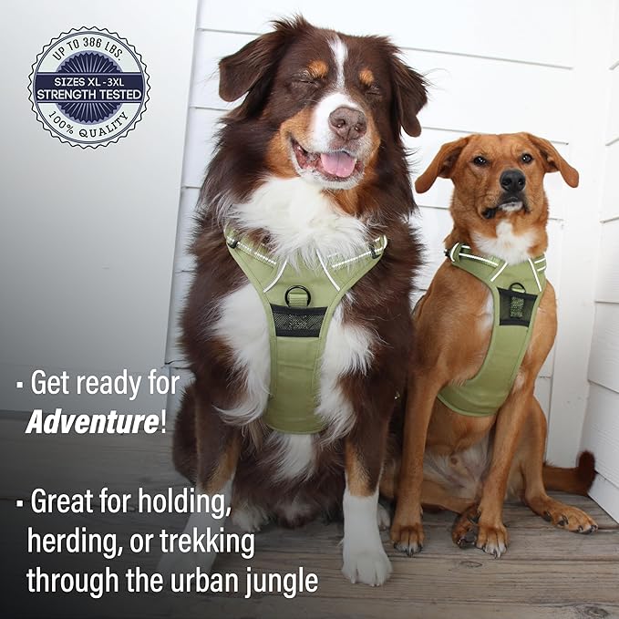 Doggie Design Venture Paw No Pull Dog Harness - Simple Adjustable Puppy Harness - Anti Pull Dog Collar for Walks and Outdoor Adventures - Aspen, XL