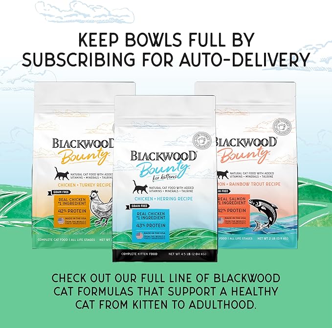 Blackwood Bounty Dry Cat Food, Kitten Formula, Chicken & Herring Recipe, 4.5 Pound Bag, High Protein, Grain Free