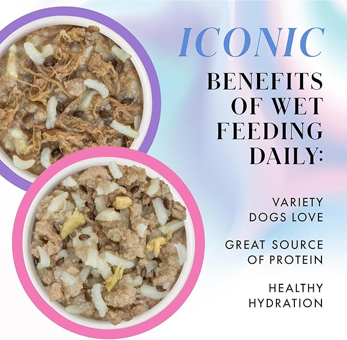 Pamper Like Paris Natural Wet Dog Food, Beef and Duck Recipes Cooked in Broth Variety Pack (2.75oz Cup, Pack of 10)