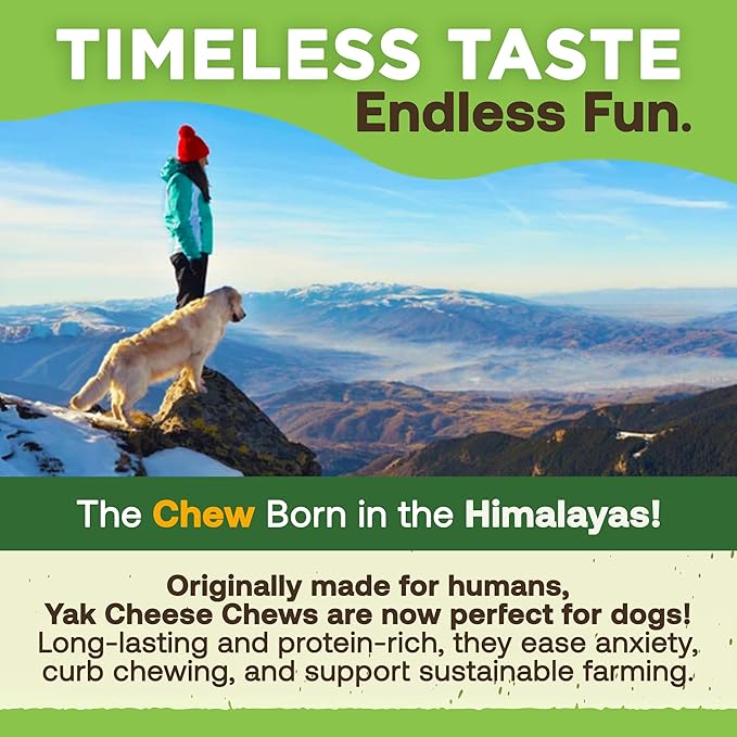EcoKind Premium Gold Monster Yak Cheese Himalayan Dog Chew, Dog Treats Large Breed, All Natural, High Protein, for Aggressive Chewers, XL - 3 Chews