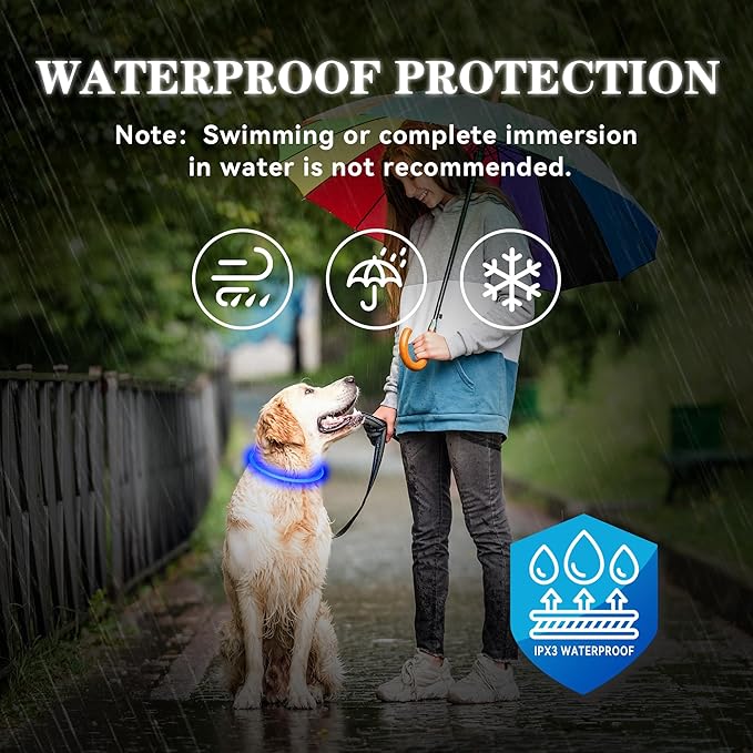 Led Light Up Dog Collar Rechargeable Waterproof, Glow in Dark Dog Collar, TPU Cuttable Lighted Dog Collars for Night Walking Charging USB, Safety for Small Medium Large Dogs Blue