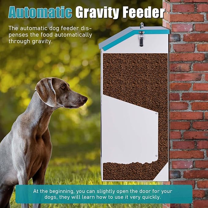 Automatic Gravity Dog Feeder Large Breed 50 lb, Galvanized Metal Self Feeding Dog Food Dispenser Extra Large Automatic Pet Feeder, for Indoor or Outdoor Use