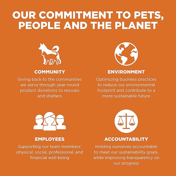 Go! Solutions Skin + Coat Care, Grain-Free Dry Cat Food, Salmon Recipe, 16 lb Bag