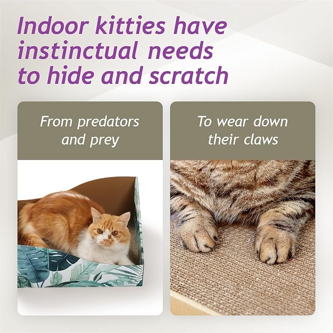 Hideaway Cat Scratcher Box for Indoor Cats - Cat Scratching Board, Horizontal Cat Scratch Pad Lounger with Reversible Usability and Extra Comfort for Lounge(Go Green)