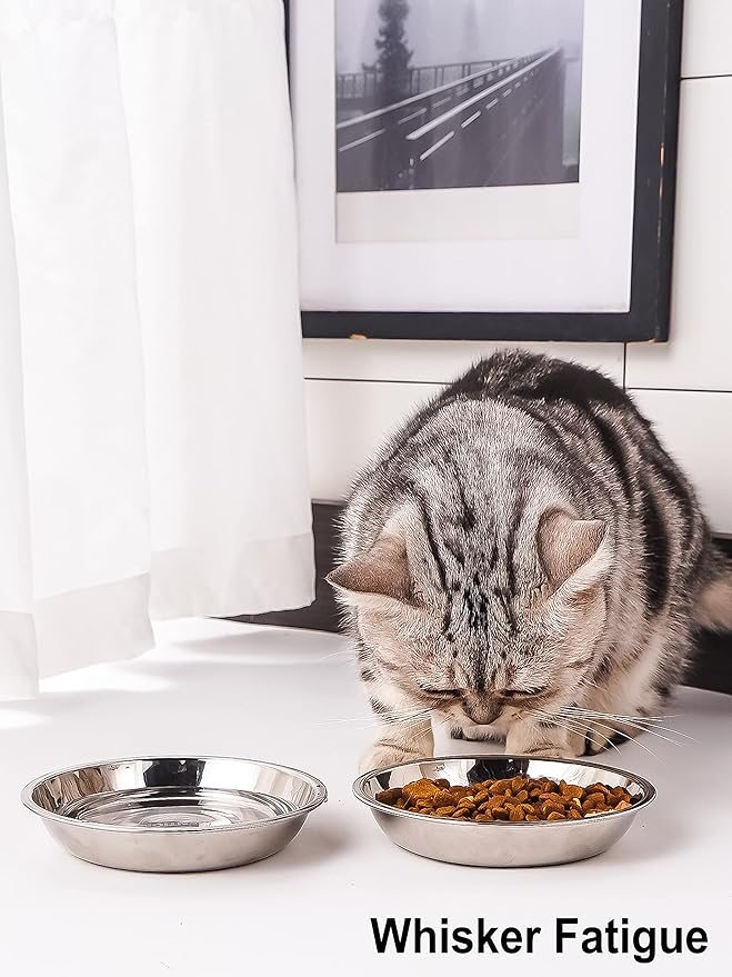 VENTION Medium Shallow Cat Food Bowls, Outer Dia. 8.1 in Whisker Fatigue Cat Bowl, Stainless Steel Cat Food Dish for Indoor Cats, Set of 2 Replacement Cat Bowls for Raised Station(26.7 Fl.oz)