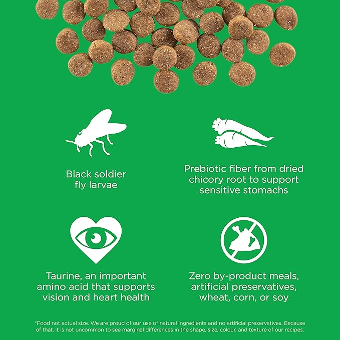 Go! Solutions Sensitivities Limited Ingredients, Grain-Free Dry Dog Food, Insect Recipe for Sensitive Stomach, 12 lb Bag