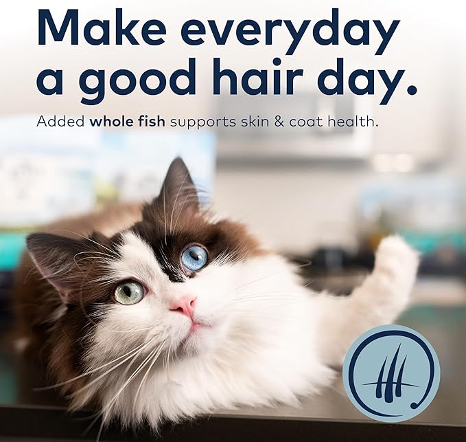 ZIWI Peak Steam & Dried Cat Food – Beef w/Southern Blue Whiting Fish - High Protein, Skin & Coat Health, Low Carb, for All Life Stages (78.4oz)