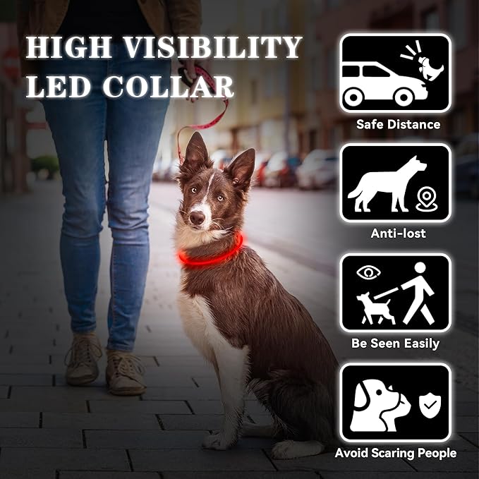 Light Up Led Dog Collar Rechargeable Waterproof, Glow in Dark Dog Collar, TPU Cuttable Lighted Dog Collars for Night Walking Charging USB, Safety for Small Medium Large Dogs Red
