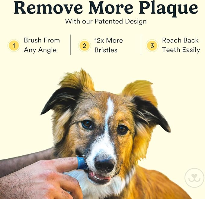Jasper Dog Toothbrush, 360º Dog Tooth Brushing Kit, Cat Toothbrush, Dog Teeth Cleaning, Dog Finger Toothbrush, Dog Tooth Brush for Small & Large Pets, Dog Toothpaste Not Included, 4-Pack Blue