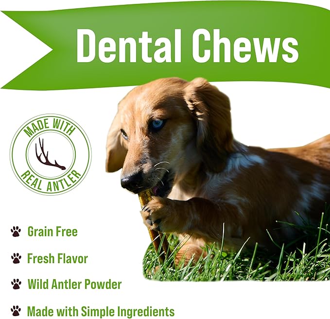 Buck Bone Organics Natural Dental Chew 24 Chews in Pack